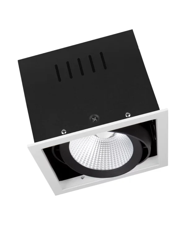 PFM SPOT MULTI 1 x 30W
