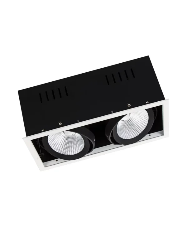 PFM SPOT MULTI 2 x 30W